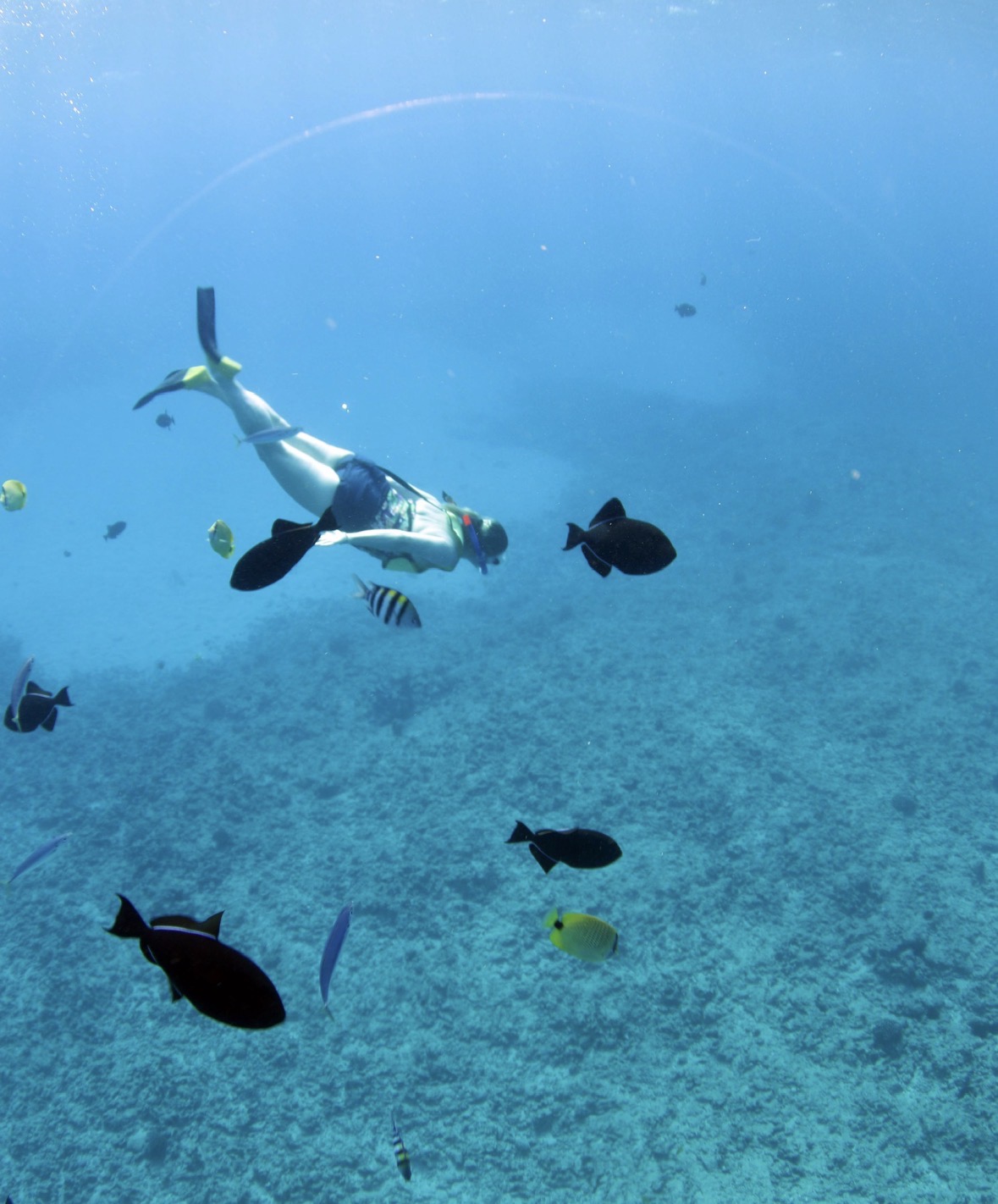 *NEW* Priority 60 Minute Intuitive Consultation