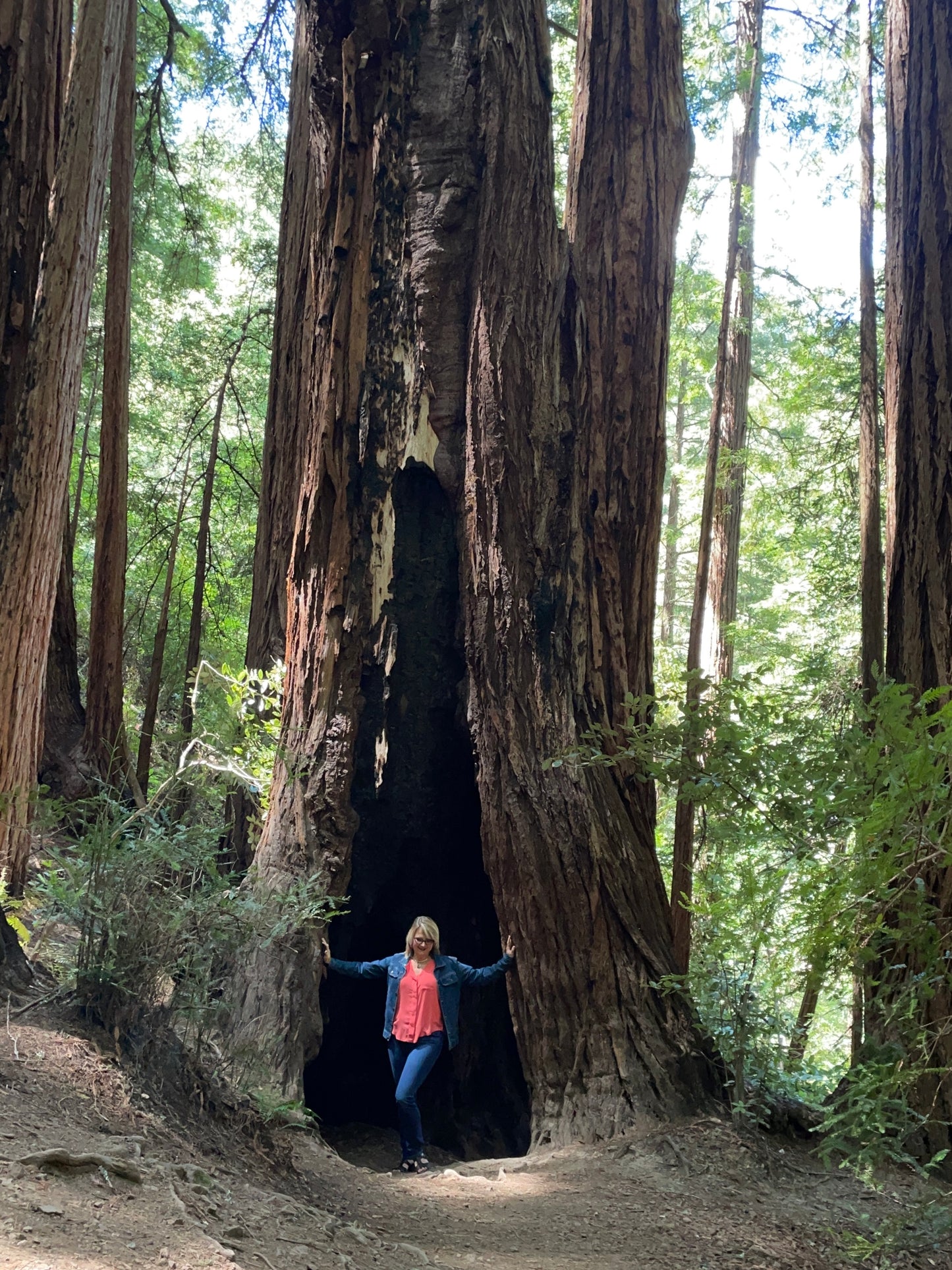 E- “Quickie” quick read