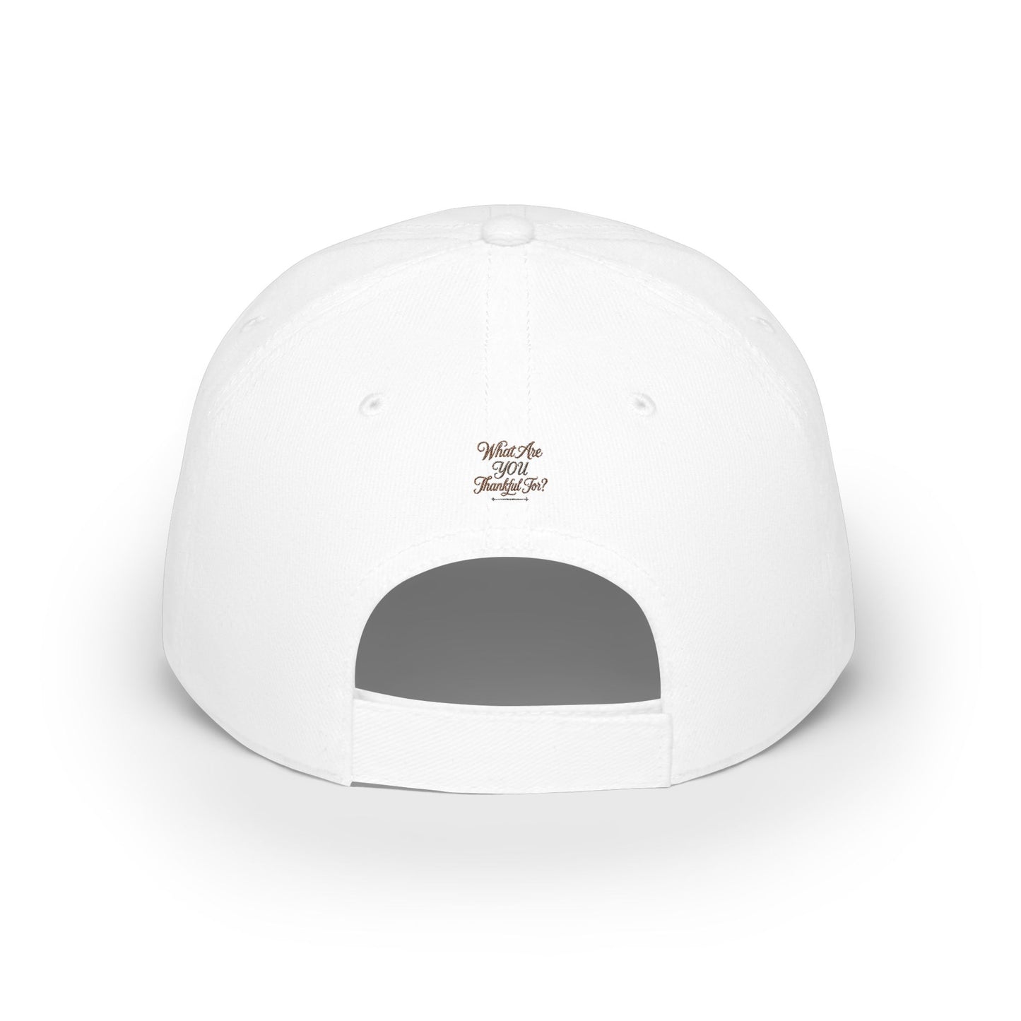 Low Profile Cap — Rustic Compass Rose RD Embroidered Hat
