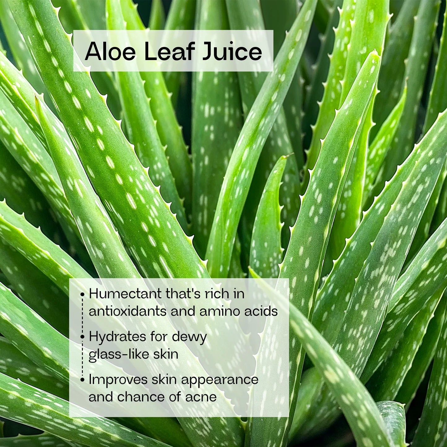 Three Thankful Things Bundle (Save 10%)