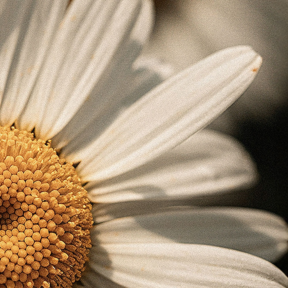 Healing Tallow Body Balm