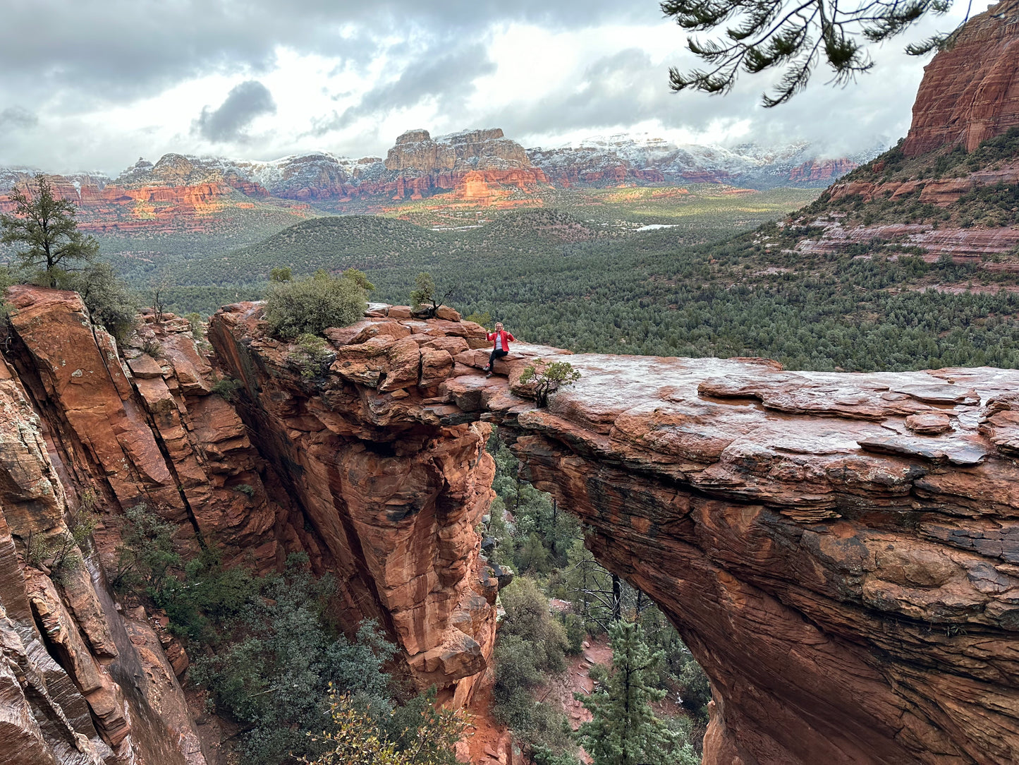 30 Minute Intuitive Consultation